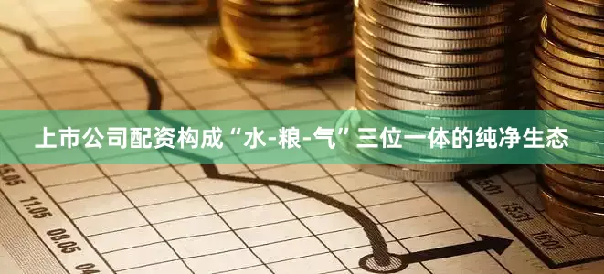 上市公司配资构成“水-粮-气”三位一体的纯净生态