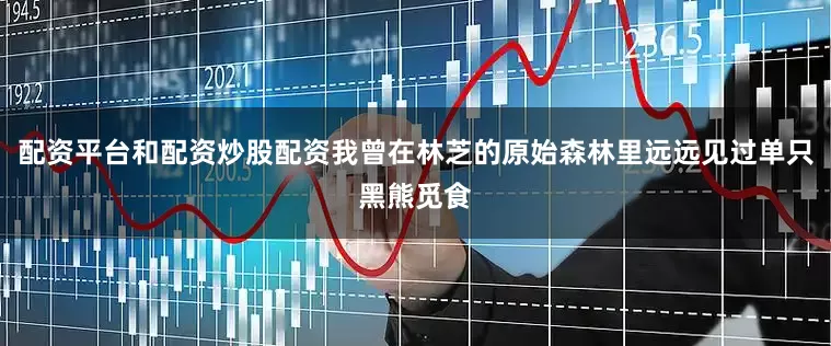 配资平台和配资炒股配资我曾在林芝的原始森林里远远见过单只黑熊觅食